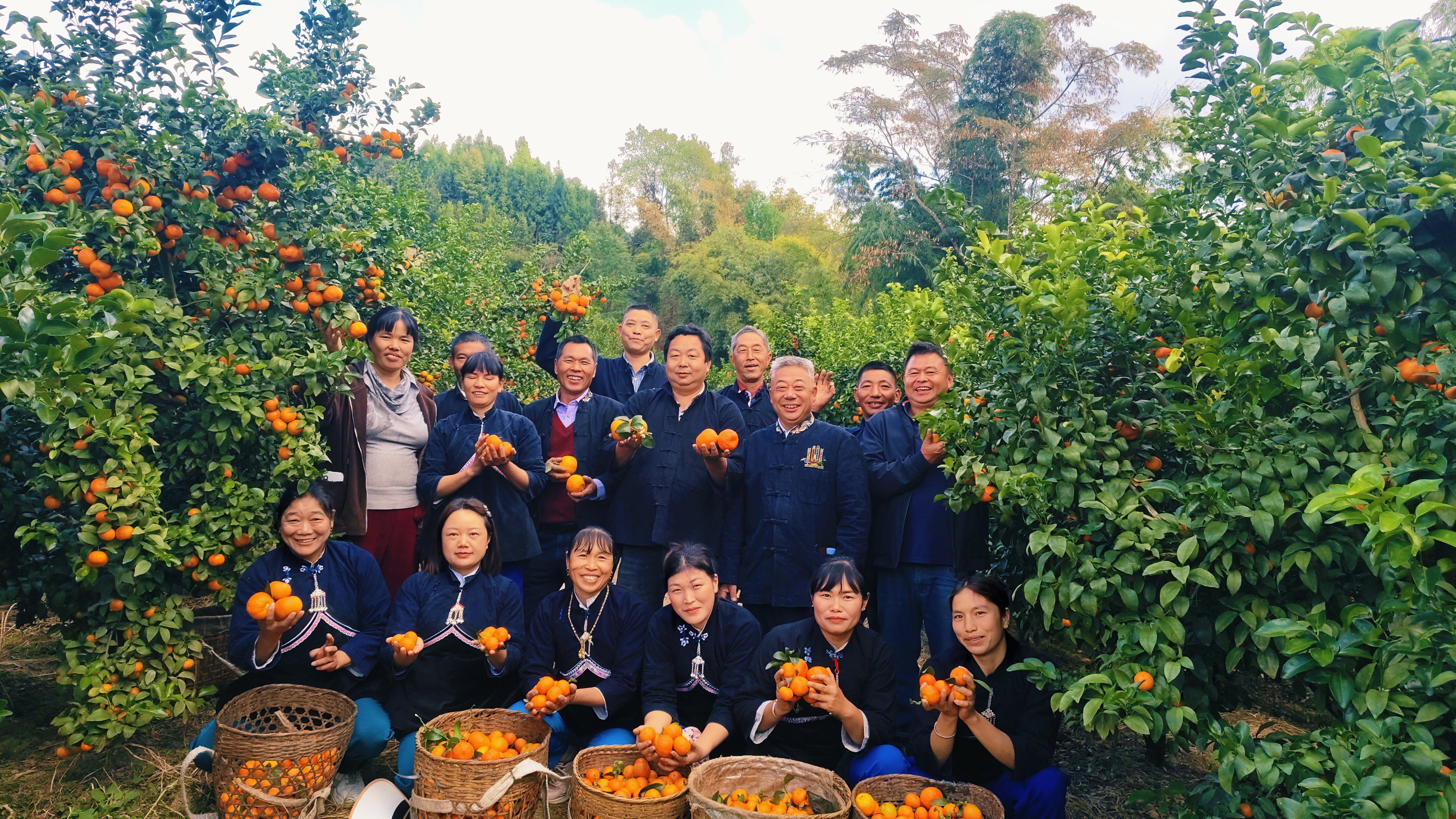 高山砂糖橘讓農民生活甜蜜蜜 (2).jpg